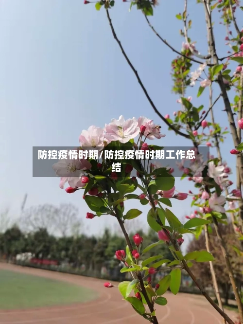 防控疫情时期/防控疫情时期工作总结