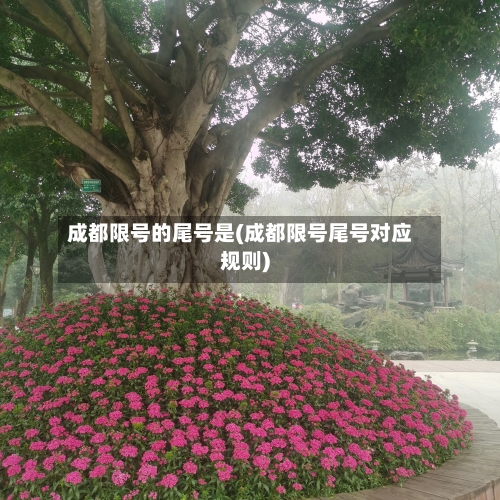 成都限号的尾号是(成都限号尾号对应规则)-第2张图片