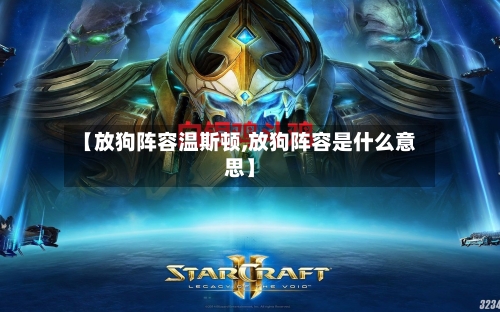 【放狗阵容温斯顿,放狗阵容是什么意思】-第3张图片
