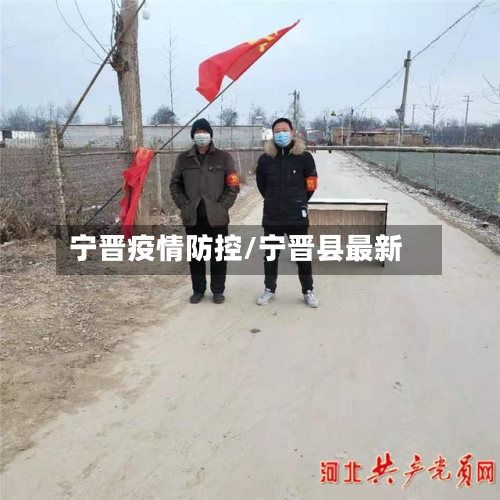 宁晋疫情防控/宁晋县最新-第2张图片