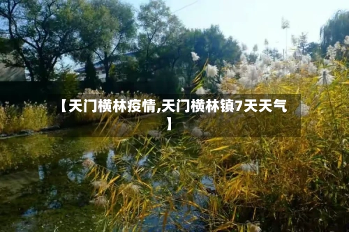 【天门横林疫情,天门横林镇7天天气】-第2张图片