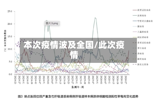 本次疫情波及全国/此次疫情