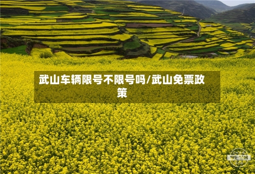 武山车辆限号不限号吗/武山免票政策