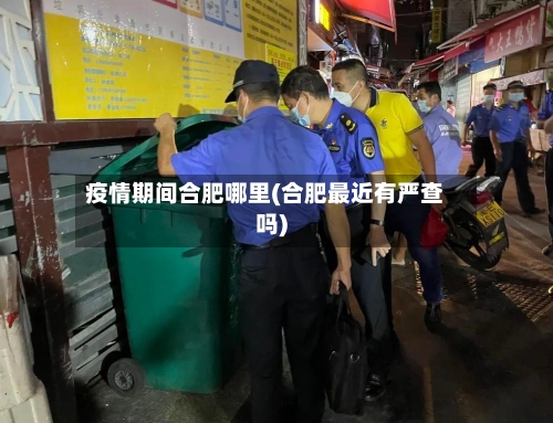 疫情期间合肥哪里(合肥最近有严查吗)