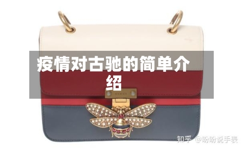 疫情对古驰的简单介绍