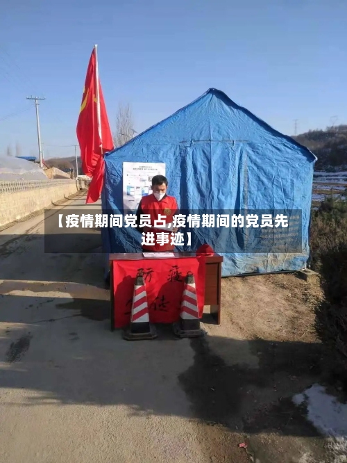 【疫情期间党员占,疫情期间的党员先进事迹】