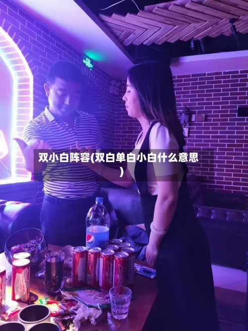 双小白阵容(双白单白小白什么意思)-第3张图片