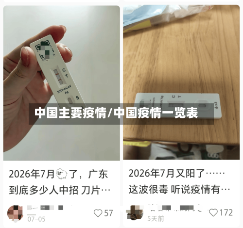 中国主要疫情/中国疫情一览表