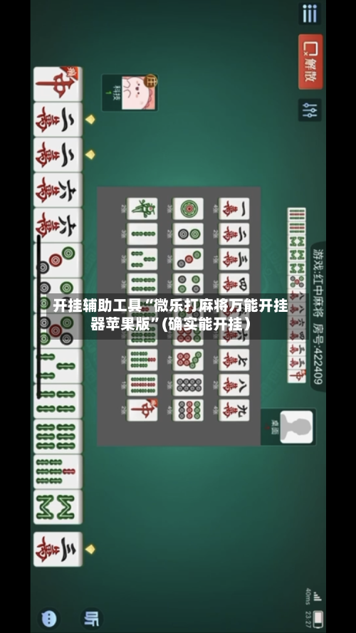 开挂辅助工具“微乐打麻将万能开挂器苹果版”(确实能开挂）-第3张图片
