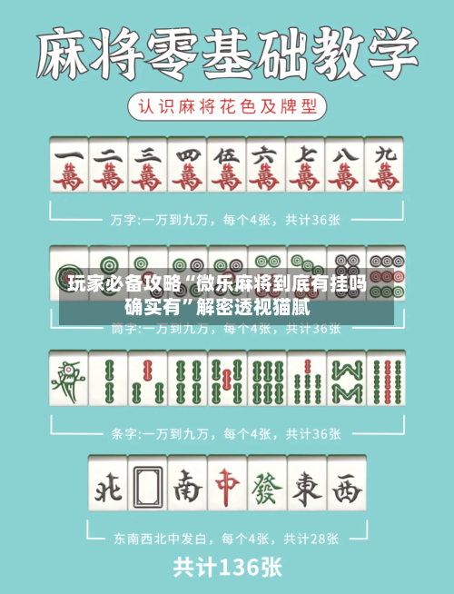 玩家必备攻略“微乐麻将到底有挂吗确实有”解密透视猫腻-第2张图片