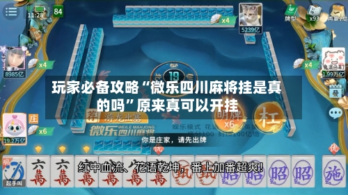 玩家必备攻略“微乐四川麻将挂是真的吗”原来真可以开挂-第3张图片