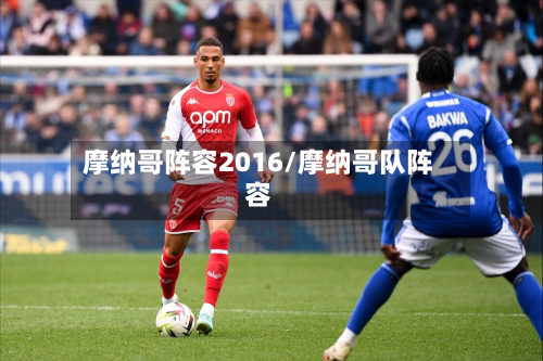 摩纳哥阵容2016/摩纳哥队阵容