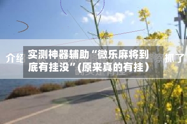 实测神器辅助“微乐麻将到底有挂没”(原来真的有挂）-第1张图片