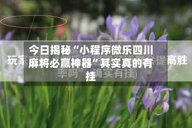 今日揭秘“小程序微乐四川麻将必赢神器”其实真的有挂-第2张图片