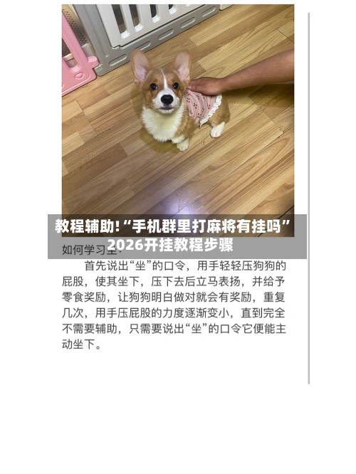 教程辅助!“手机群里打麻将有挂吗”2026开挂教程步骤