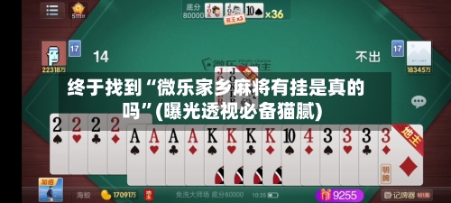 终于找到“微乐家乡麻将有挂是真的吗”(曝光透视必备猫腻)-第2张图片