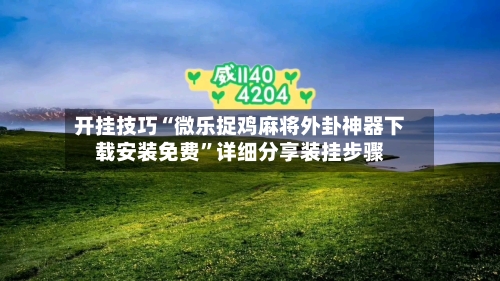 开挂技巧“微乐捉鸡麻将外卦神器下载安装免费”详细分享装挂步骤-第2张图片