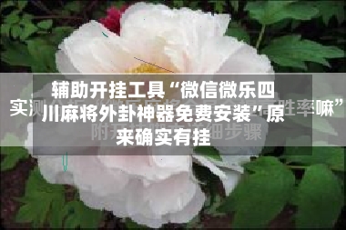 辅助开挂工具“微信微乐四川麻将外卦神器免费安装”原来确实有挂-第2张图片