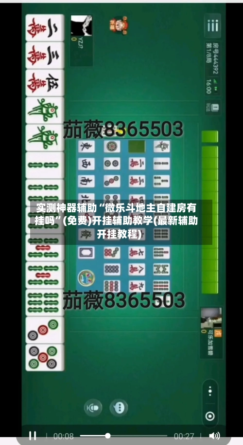 实测神器辅助“微乐斗地主自建房有挂吗”(免费)开挂辅助教学(最新辅助开挂教程)-第2张图片