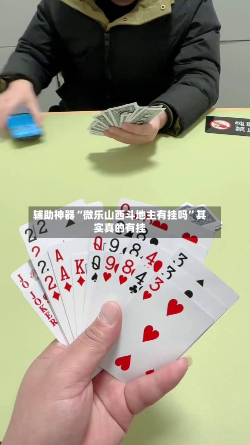 辅助神器“微乐山西斗地主有挂吗”其实真的有挂-第2张图片