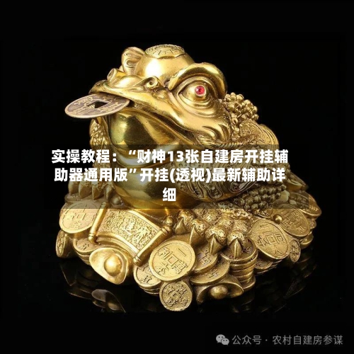 实操教程：“财神13张自建房开挂辅助器通用版”开挂(透视)最新辅助详细-第3张图片