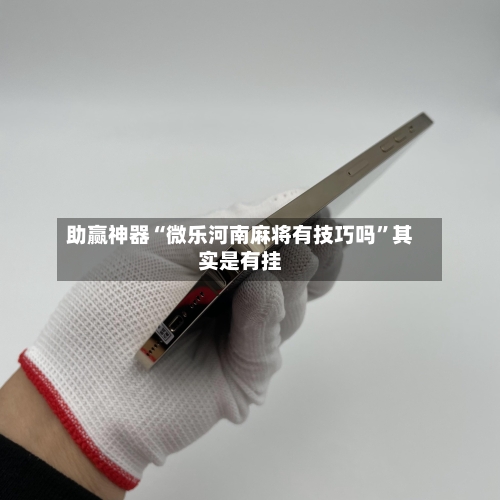 助赢神器“微乐河南麻将有技巧吗”其实是有挂-第2张图片