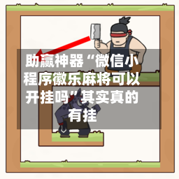 助赢神器“微信小程序徽乐麻将可以开挂吗	”其实真的有挂-第2张图片