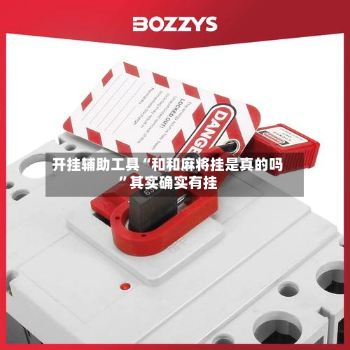 开挂辅助工具“和和麻将挂是真的吗”其实确实有挂-第2张图片
