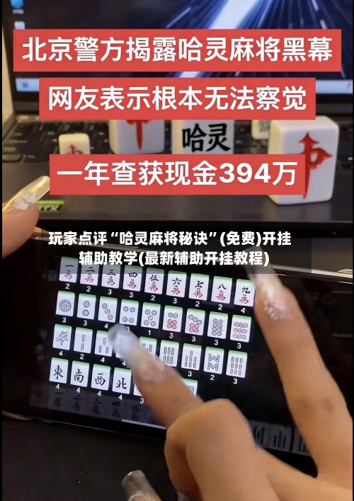 玩家点评“哈灵麻将秘诀”(免费)开挂辅助教学(最新辅助开挂教程)-第3张图片