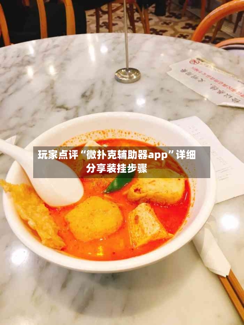 玩家点评“微扑克辅助器app	”详细分享装挂步骤-第2张图片