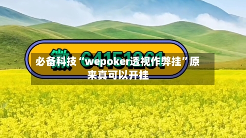 必备科技“wepoker透视作弊挂”原来真可以开挂
