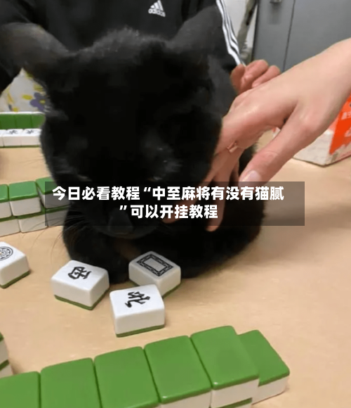 今日必看教程“中至麻将有没有猫腻”可以开挂教程-第1张图片
