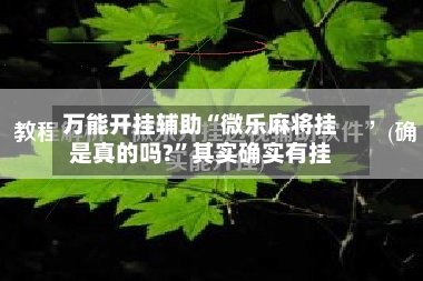 万能开挂辅助“微乐麻将挂是真的吗?”其实确实有挂