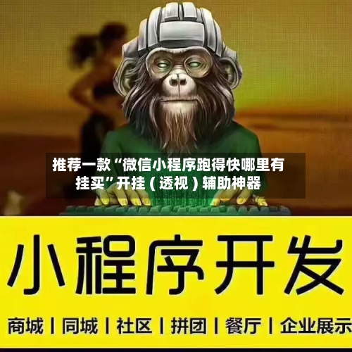推荐一款“微信小程序跑得快哪里有挂买”开挂 ( 透视 ) 辅助神器-第2张图片