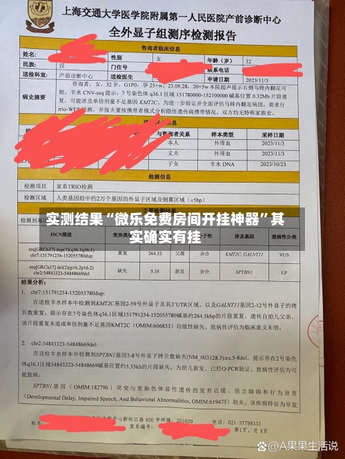 实测结果“微乐免费房间开挂神器”其实确实有挂-第2张图片