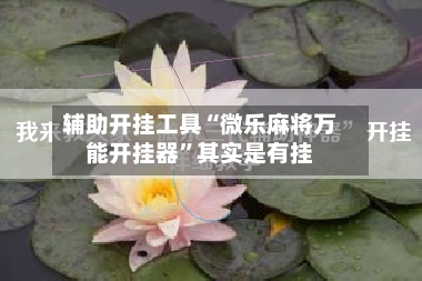 辅助开挂工具“微乐麻将万能开挂器”其实是有挂