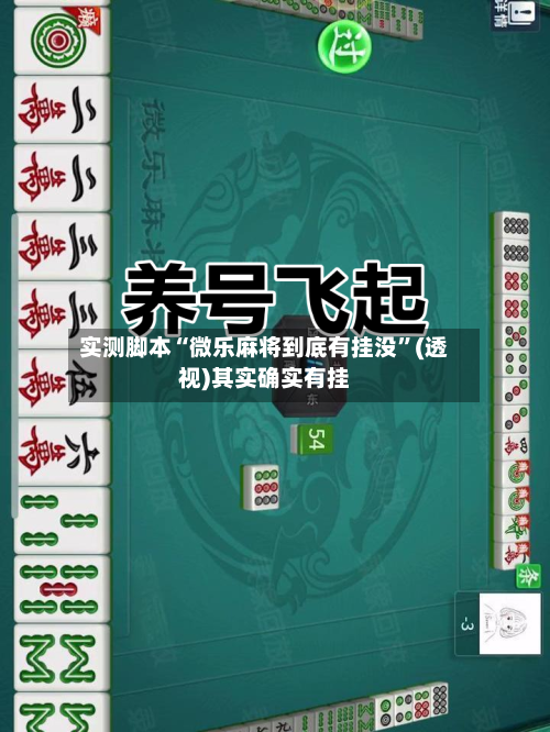 实测脚本“微乐麻将到底有挂没”(透视)其实确实有挂-第2张图片