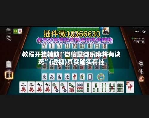 教程开挂辅助“微信里微乐麻将有诀窍”(透视)其实确实有挂-第3张图片