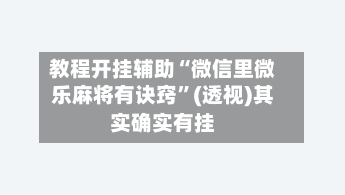 教程开挂辅助“微信里微乐麻将有诀窍	”(透视)其实确实有挂-第2张图片
