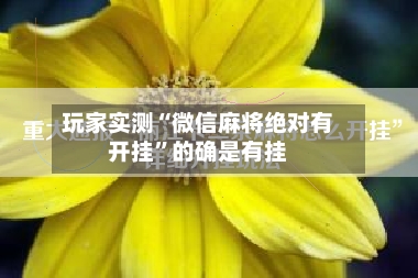 玩家实测“微信麻将绝对有开挂”的确是有挂-第2张图片