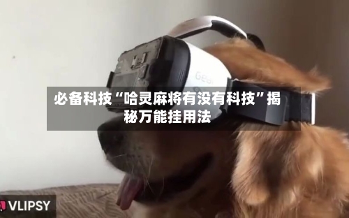 必备科技“哈灵麻将有没有科技”揭秘万能挂用法-第2张图片