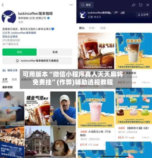 可用版本“微信小程序真人天天麻将免费挂	”(作弊)辅助透视教程-第3张图片