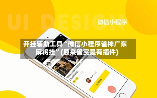 开挂辅助工具“微信小程序雀神广东麻将挂”(原来确实是有插件)