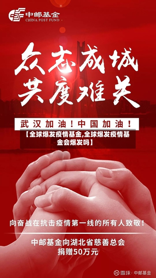 【全球爆发疫情基金,全球爆发疫情基金会爆发吗】