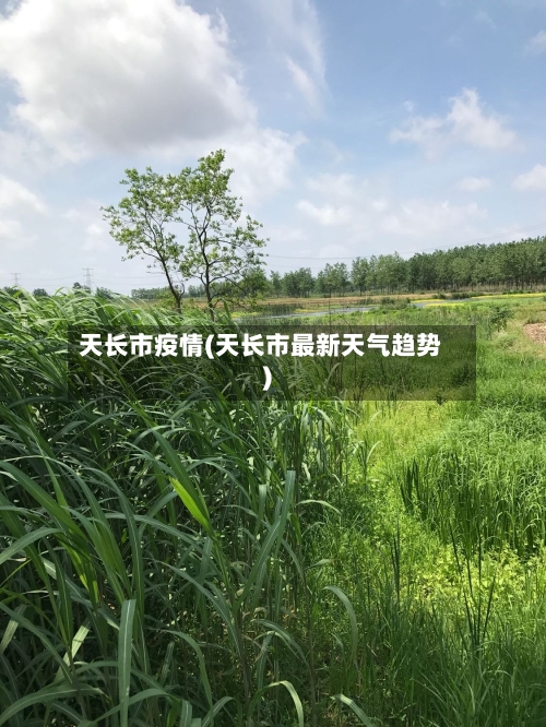 天长市疫情(天长市最新天气趋势)-第3张图片