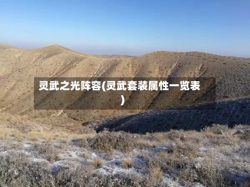 灵武之光阵容(灵武套装属性一览表)