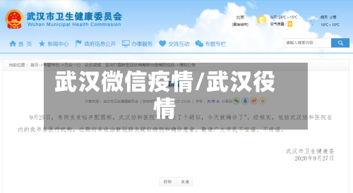 武汉微信疫情/武汉役情