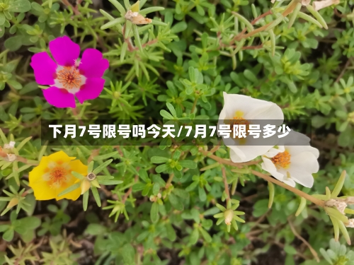 下月7号限号吗今天/7月7号限号多少-第2张图片