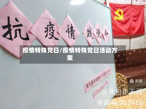 疫情特殊党日/疫情特殊党日活动方案-第2张图片