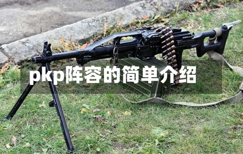 pkp阵容的简单介绍